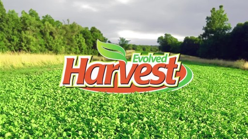 Evolved Harvest 7 Card Stud Food Plot Blend 1/4 Acre - image 1 from the video